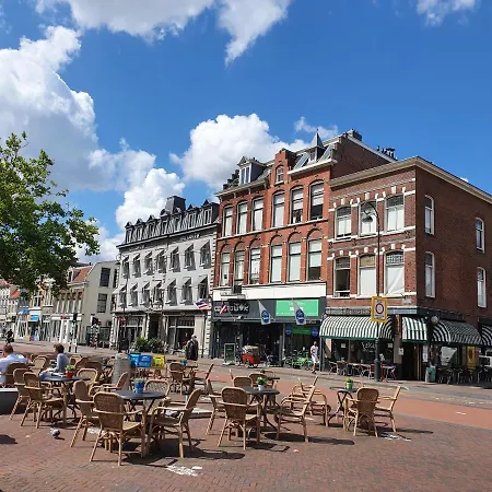 Lion D'or Haarlem