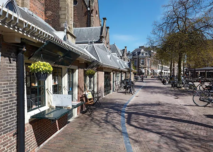 金狮酒店 哈莱姆