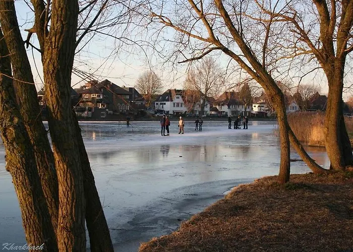 金狮酒店 酒店 4*