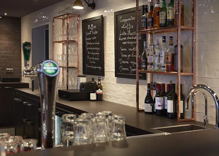 金狮酒店 4* 哈莱姆