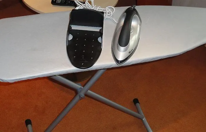 金狮酒店 酒店 哈莱姆