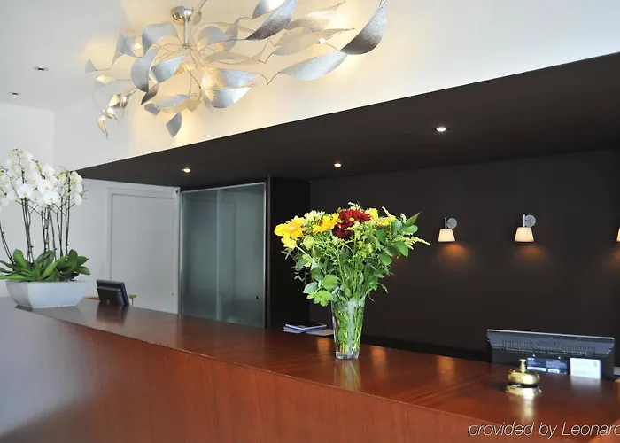 酒店 金狮酒店 4*