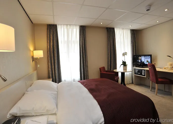 酒店 金狮酒店 4*