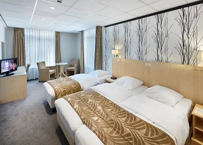 酒店 金狮酒店 4*