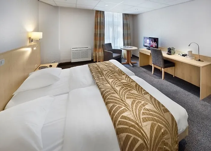 金狮酒店 4* 哈莱姆